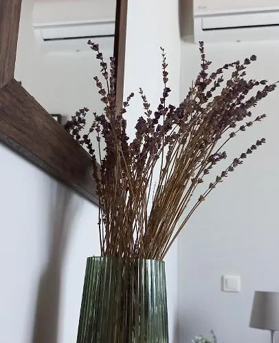 Holiday home Lily Home_lefkada ~ Private *